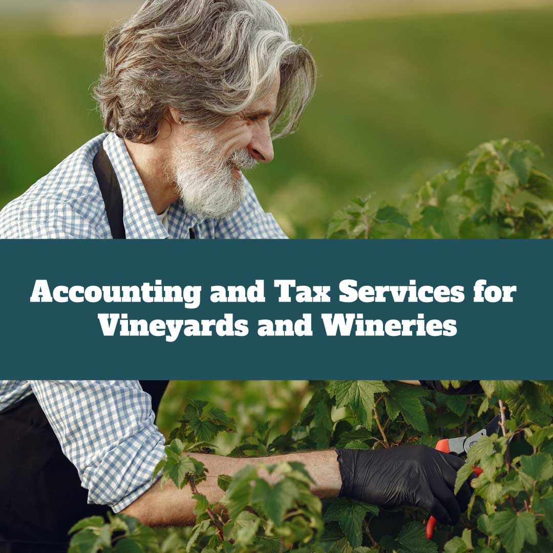 Vineyard Accounting Services