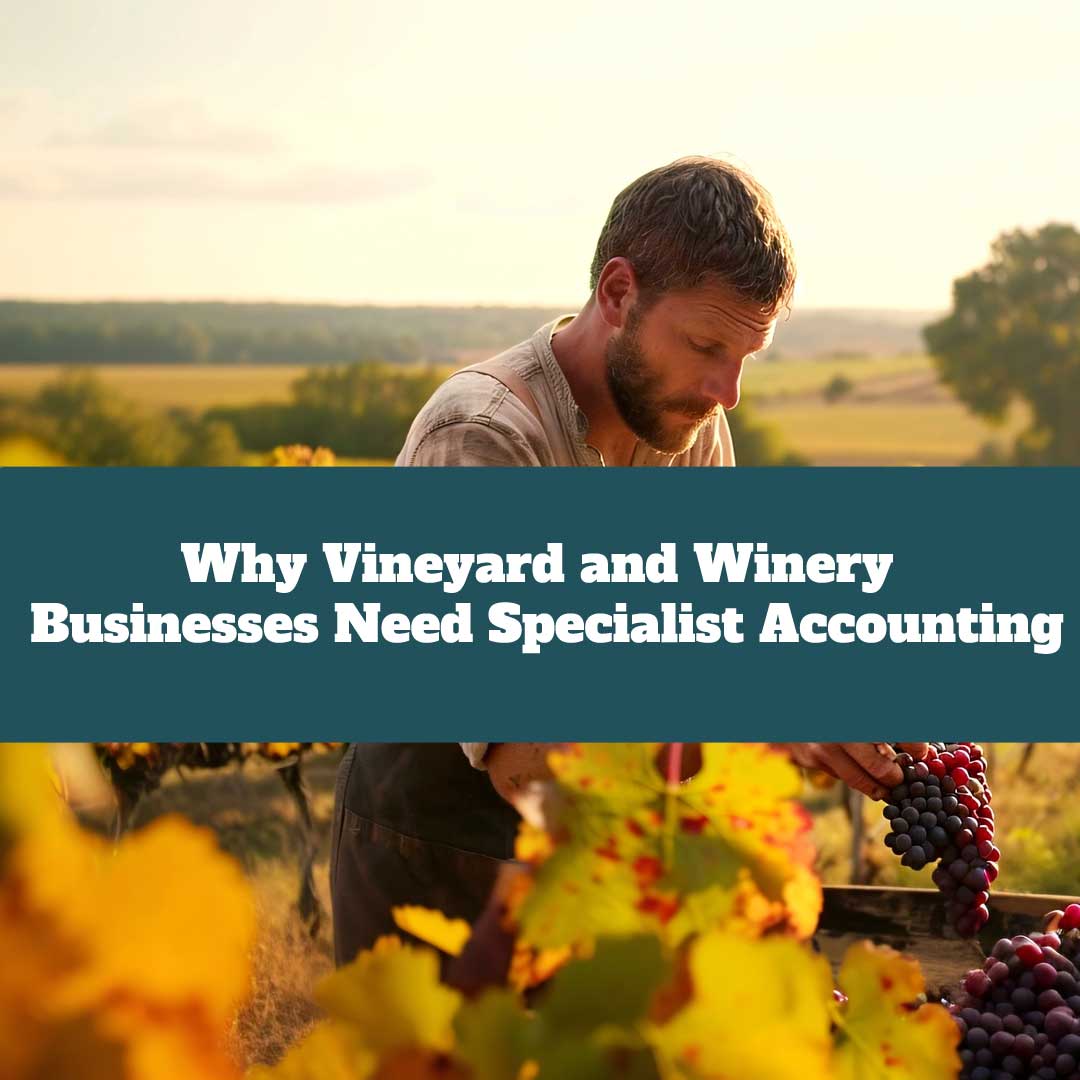 Specialist Accounting for Vineyards