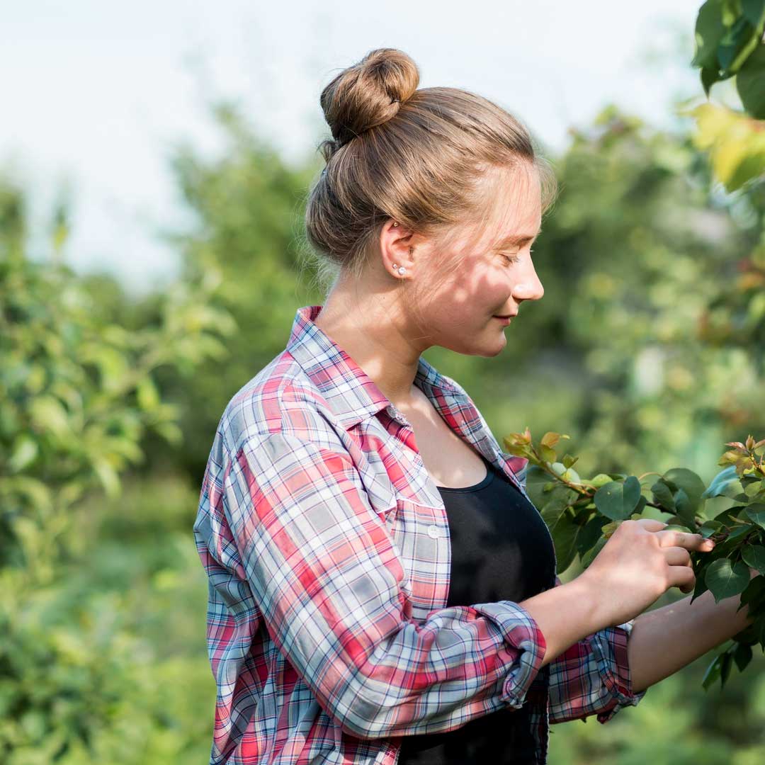 UK accountants for winearies