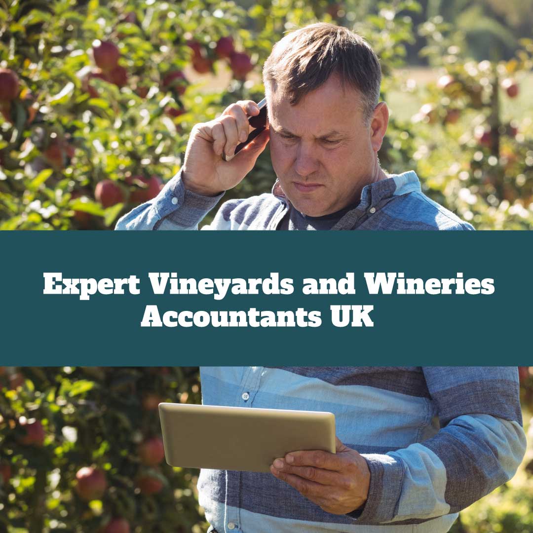vineyards accountants uk