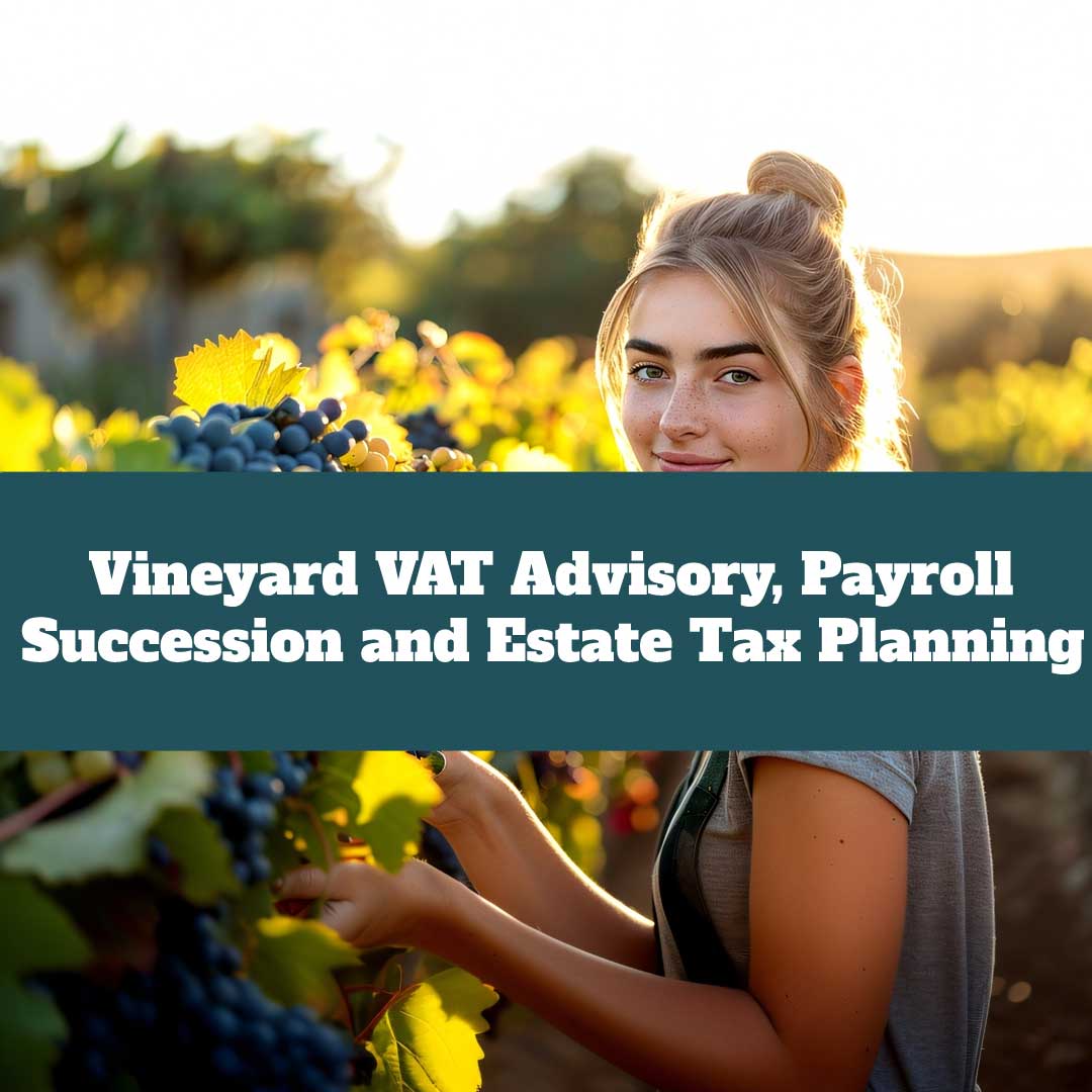 Vineyards VAT, Payroll, Estate Planning